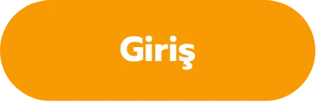 Giriş